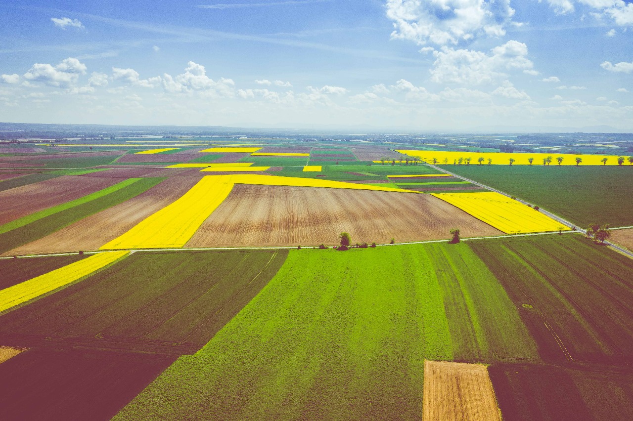 منظومة ” Agro Food Park ” تتصدر الجهود العالمية لتحقيق الاستدامة في قطاعي الزراعة و الغذاء