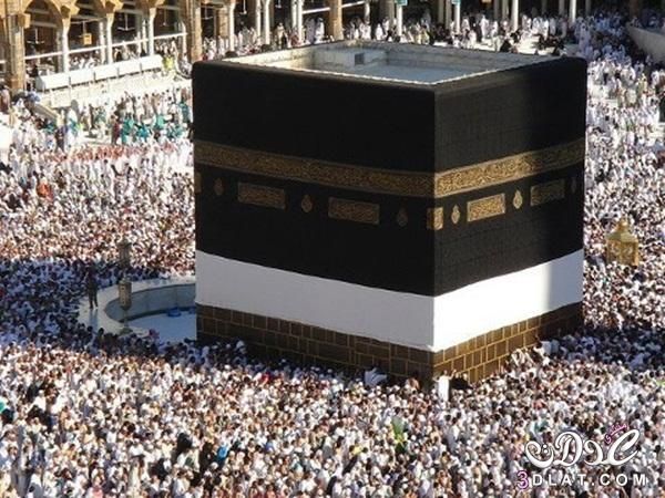 شركات السياحة تبدأ فى تنفيذ رحلات عمرة شعبان