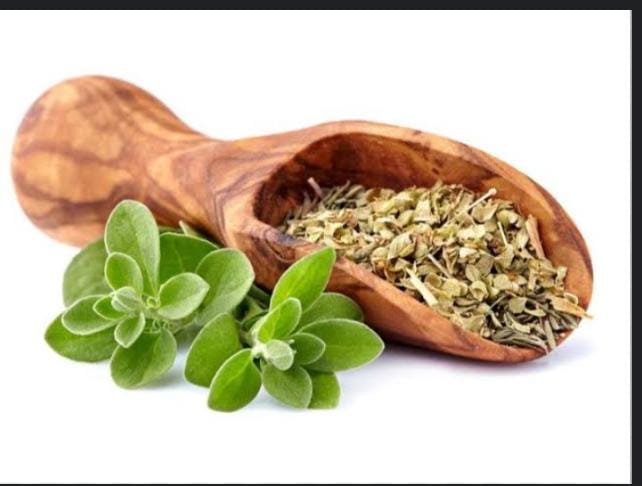 فوائد البردقوش