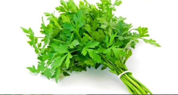 البقدونس …الفوائد والأضرار