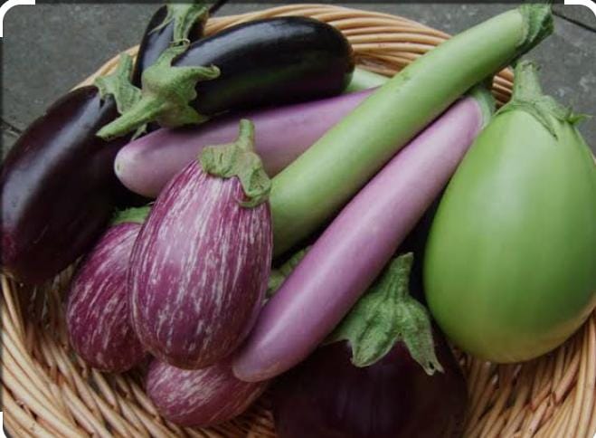 الباذنجان يحتوي على مواد معززة لصحة القلب