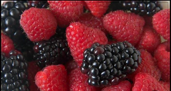 التوت البري يساعد في حمايتك من الإصابة بالتهاب المسالك البولية
