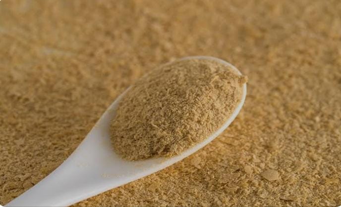 فوائد حبوب خميرة البيرة للجهاز التنفسي