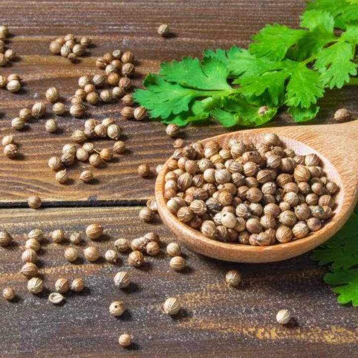 فؤاد الكزبرة وبذوره الصحيه