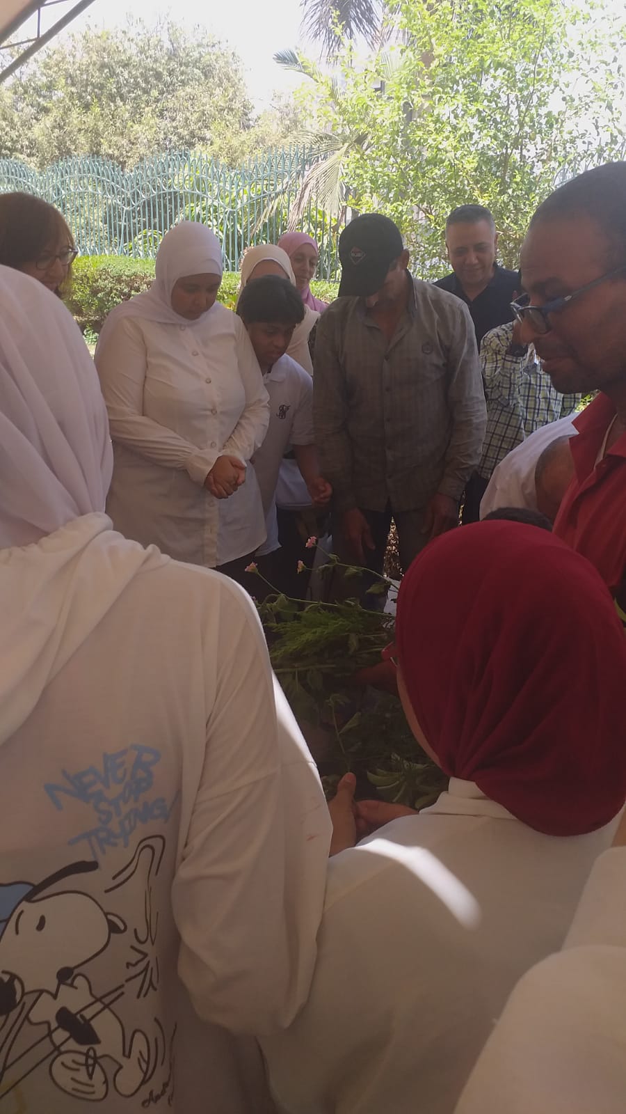 بالصور ورش فنيه فى الزراعه و الرسومات بمكتبة القاهره فى يوم البيئه