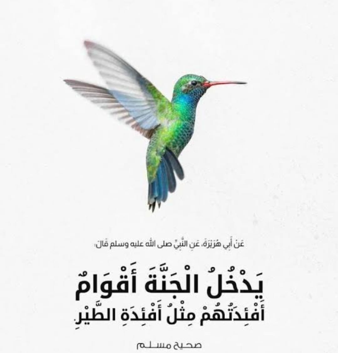 صفات أهل الجنة