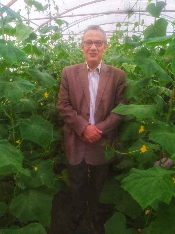 ارتفاع درجة الحرارة سببا أساسيا لارتفاع أسعار الخضروات