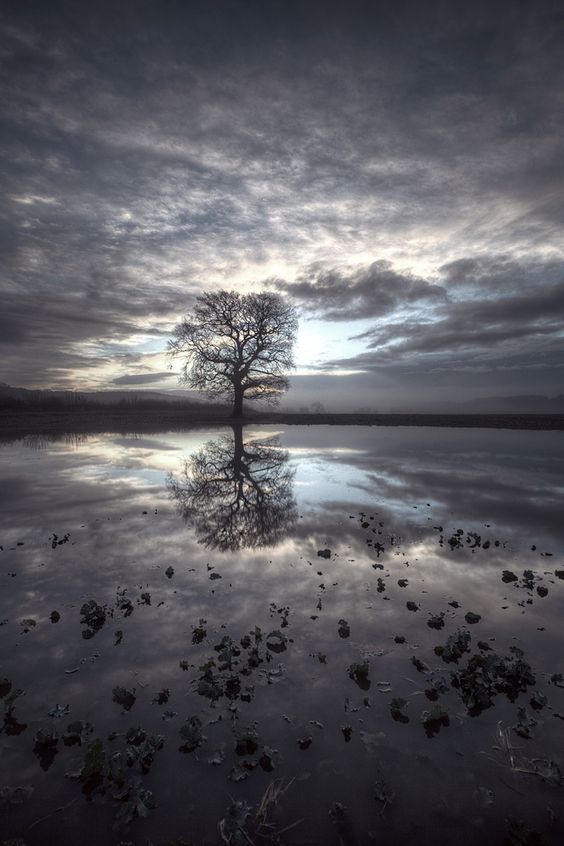 لا تُدخل على قلبك الحزن: نصيحة السنة النبوية الشريفة للتغلب على مشاعر الحزن