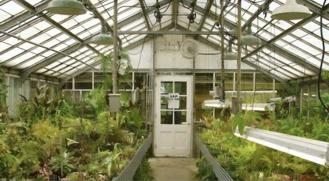 ابتكار صوبه ذكية تحقق الوفر الغذائي لمصر والعالم