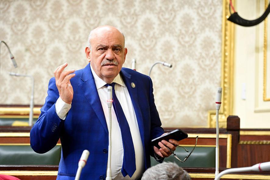 النائب سيد حنفي يشيد بوصول تخفيضات بسوق اليوم الواحد بمدينة نصر إلى 50 %