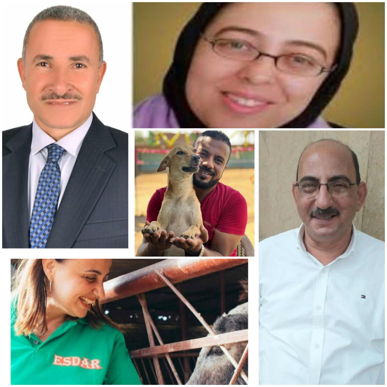 التوازن البيئي وحماية المناخ والحيوان في مكتبة القاهرة الكبرى الخميس