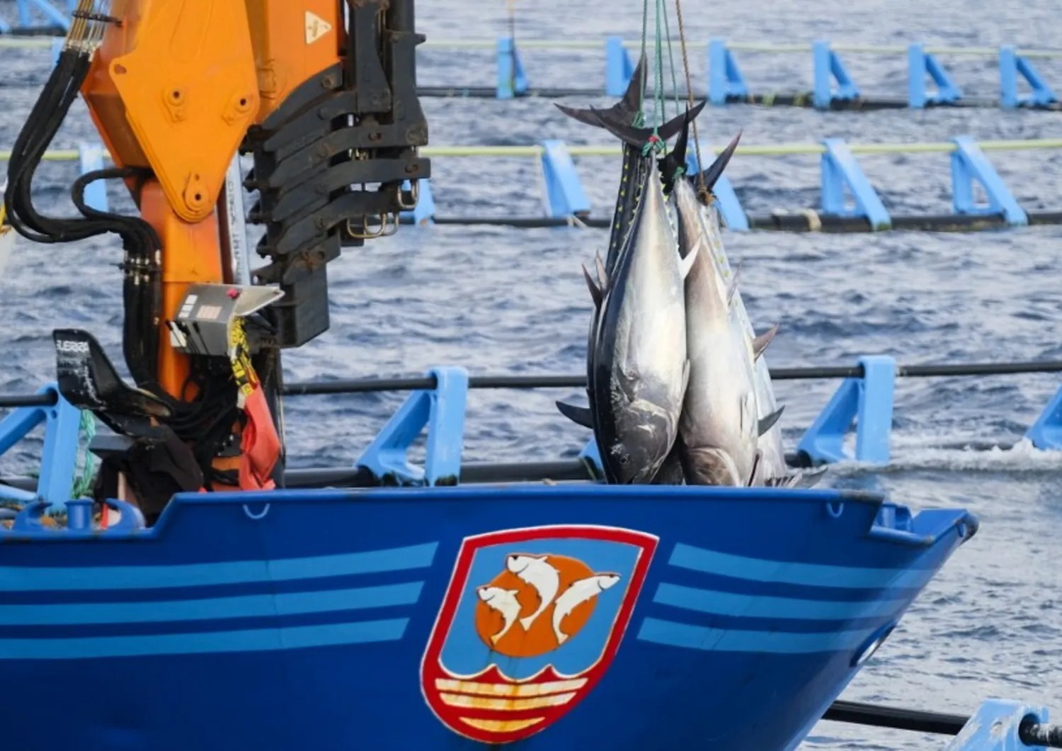 إيطاليا وليبيا تعملان على التوصل إلى اتفاق بشأن صادرات الثروة السمكية إلى الأسواق الأوروبية