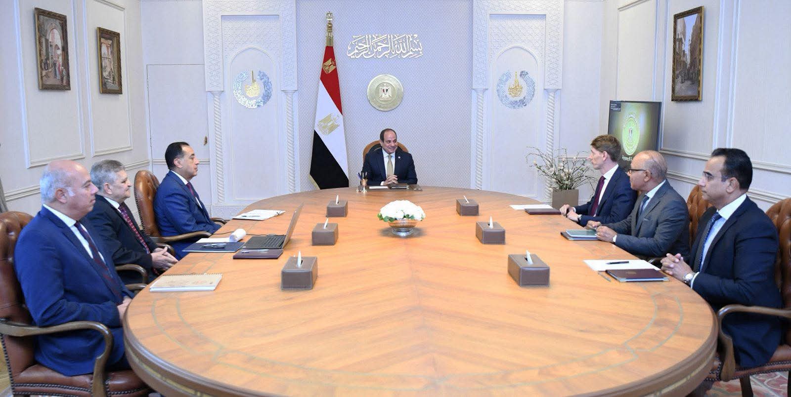 السيسي يبحث مع رئيس “ميرسك” تعزيز التعاون البحري وإنتاج الوقود الأخضر